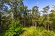 Photo - 308 Hunchy Road, Hunchy QLD 4555 - Image 29