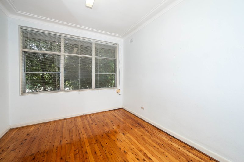 Photo - 309 Avoca Street, Randwick NSW 2031 - Image 4