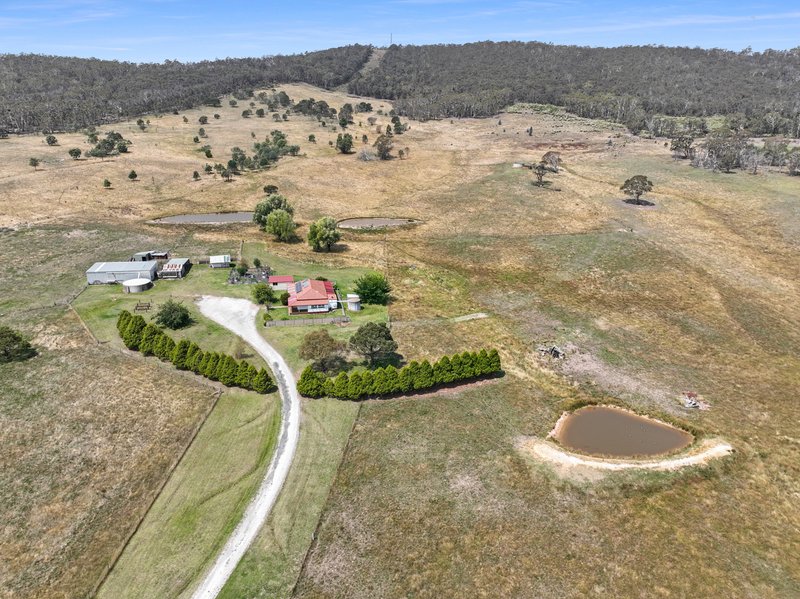 309 Bucky Springs Road, Bombala NSW 2632