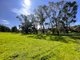 Photo - 309 Reno Road, Gundagai NSW 2722 - Image 33