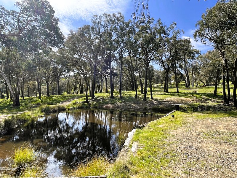 Photo - 309 Reno Road, Gundagai NSW 2722 - Image 35