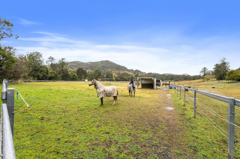 Photo - 309 Upper Coomera Road, Canungra QLD 4275 - Image 6