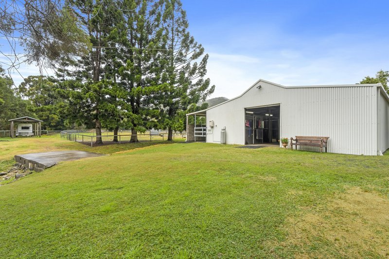 Photo - 309 Upper Coomera Road, Canungra QLD 4275 - Image 16