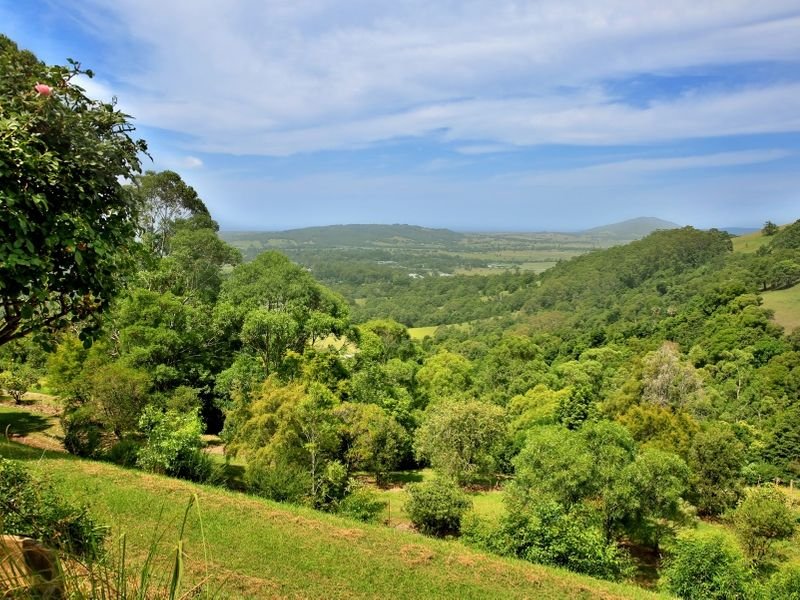 Photo - 309C Kangaroo Valley Road, Berry NSW 2535 - Image 8