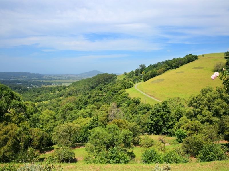 Photo - 309C Kangaroo Valley Road, Berry NSW 2535 - Image 9