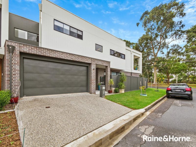 30a Botanic Grove, Campbelltown SA 5074