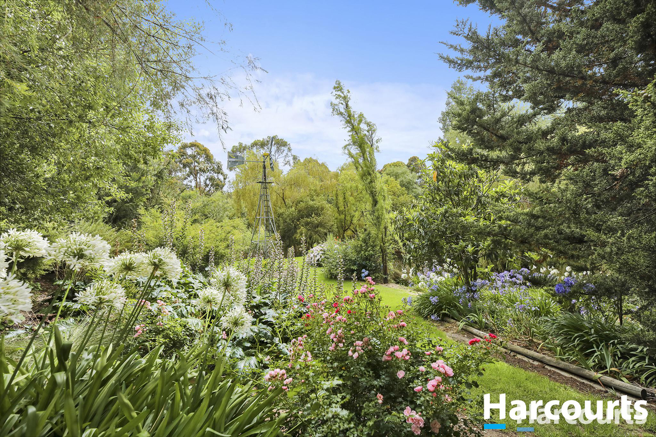 4-bedroom house at 31 Brendan Street, Meeniyan, VIC 3956, South Gippsland, Victoria