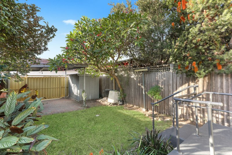 Photo - 31 Albert Street, Leichhardt NSW 2040 - Image 7