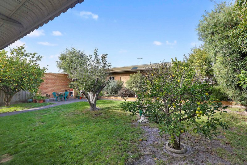 Photo - 31 Alicia Street, Bell Park VIC 3215 - Image 13