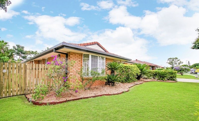 Photo - 31 Arnica Crescent, Bald Hills QLD 4036 - Image 5