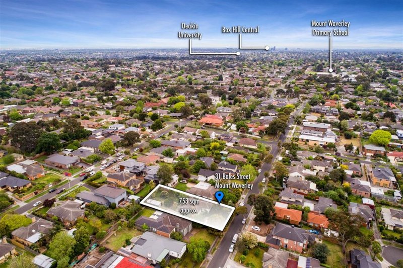 Photo - 31 Bales Street, Mount Waverley VIC 3149 - Image 14