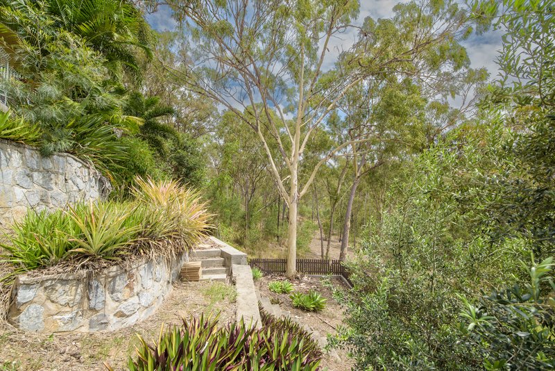 Photo - 31 Barramundi Street, Toolooa QLD 4680 - Image 17