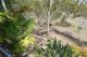 Photo - 31 Barramundi Street, Toolooa QLD 4680 - Image 16