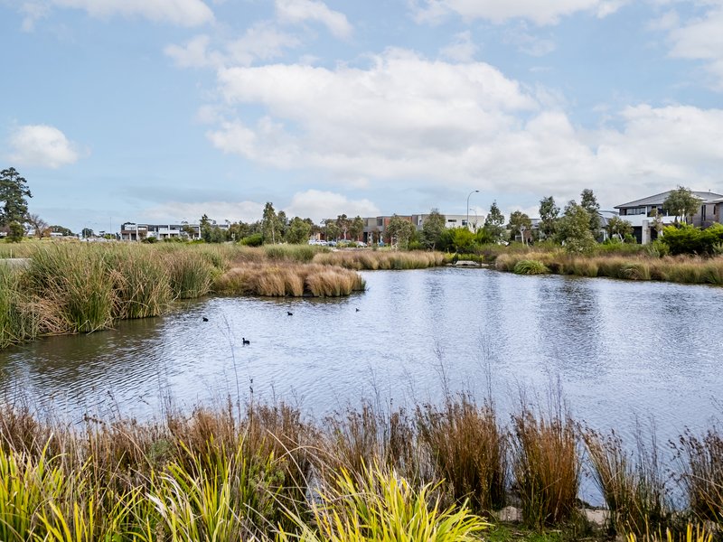 Photo - 31 Berrybank Terrace, Botanic Ridge VIC 3977 - Image 30