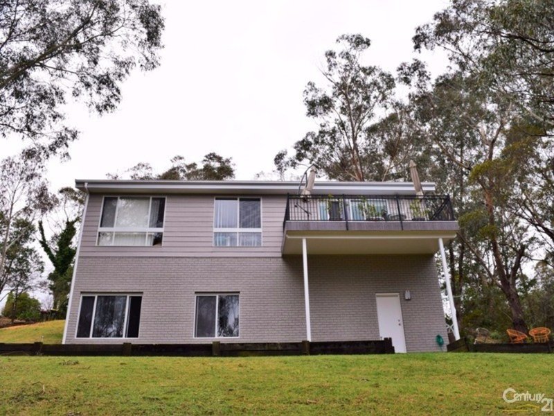 Photo - 31 Boronia Road, Bullaburra NSW 2784 - Image 17