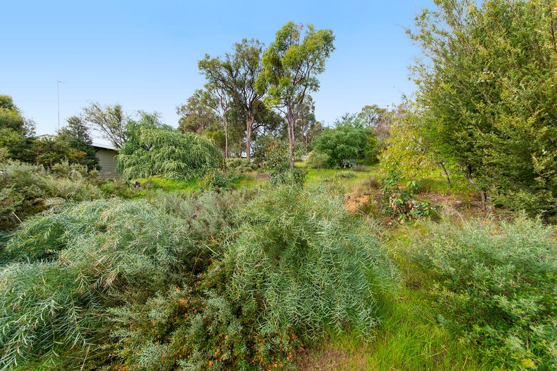 Photo - 31 Carey Street, Nannup WA 6275 - Image 3