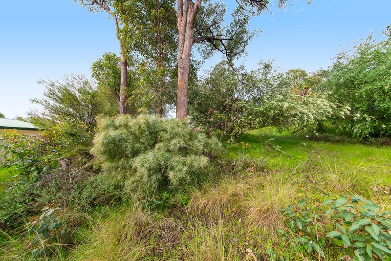 Photo - 31 Carey Street, Nannup WA 6275 - Image 6