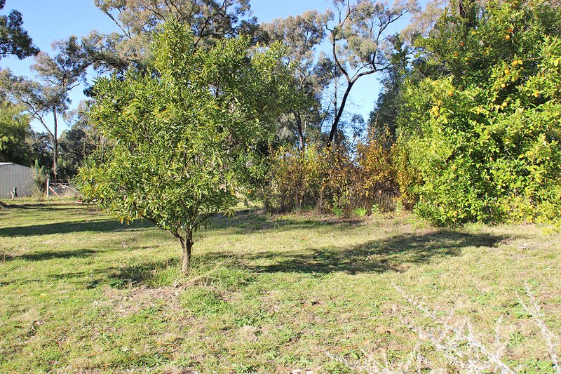 Photo - 31 Carrington Lane, Coonabarabran NSW 2357 - Image 3