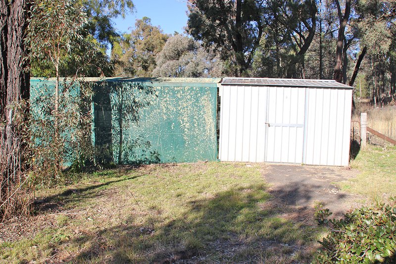 Photo - 31 Carrington Lane, Coonabarabran NSW 2357 - Image 17