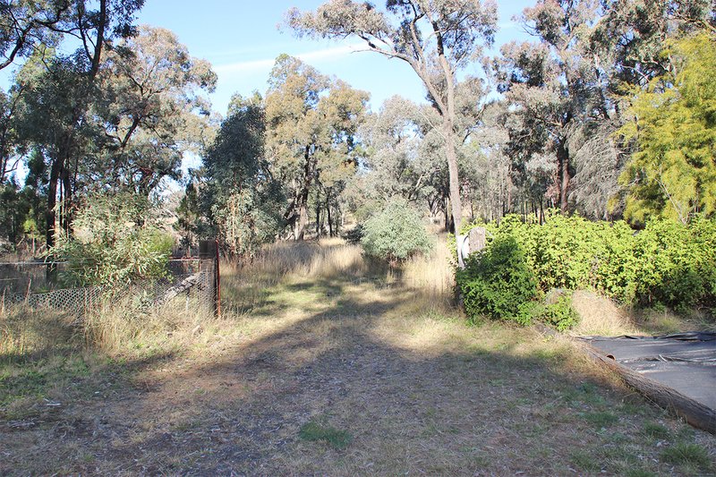 Photo - 31 Carrington Lane, Coonabarabran NSW 2357 - Image 18