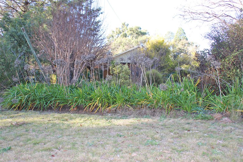 Photo - 31 Carrington Lane, Coonabarabran NSW 2357 - Image 20