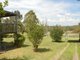 Photo - 31 Cessnock Road, Branxton NSW 2335 - Image 12