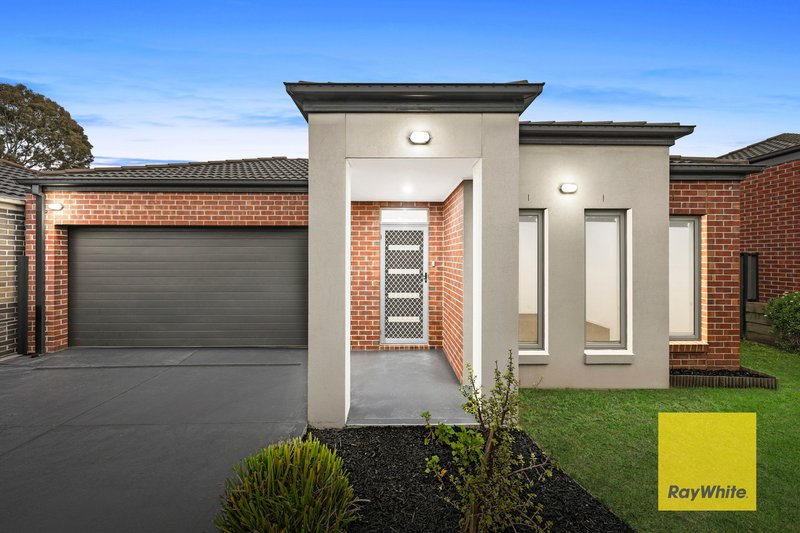 Photo - 31 Chicory Street, Mernda VIC 3754 - Image 1