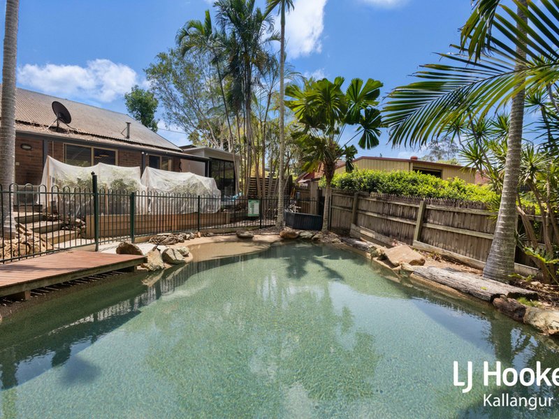 Photo - 31 Constantia Drive, Petrie QLD 4502 - Image 14