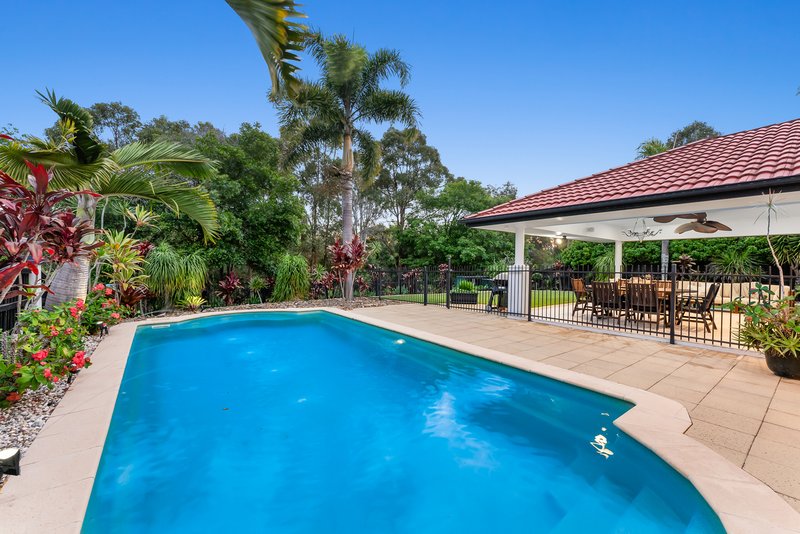 Photo - 31 Copeland Drive, North Lakes QLD 4509 - Image 24