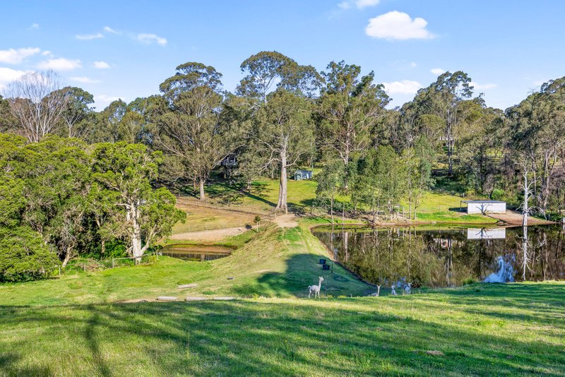 Photo - 31 Darcy Place, East Kurrajong NSW 2758 - Image 26