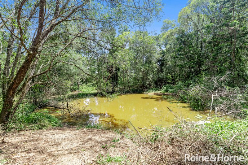 Photo - 31 Donnellys Road, Ridgewood QLD 4563 - Image 17