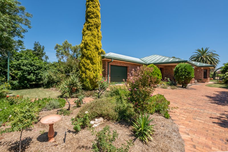 Photo - 31 Farrand Street, Forbes NSW 2871 - Image 2