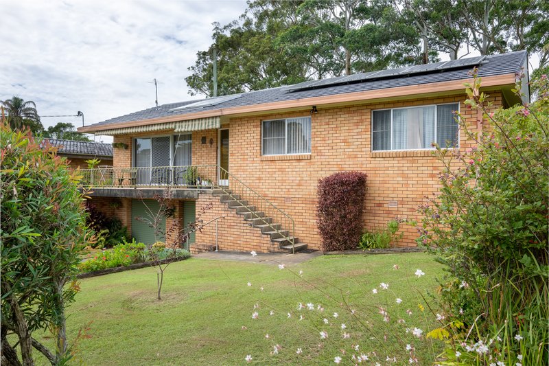 Photo - 31 Fawcett Street, Woolgoolga NSW 2456 - Image 16