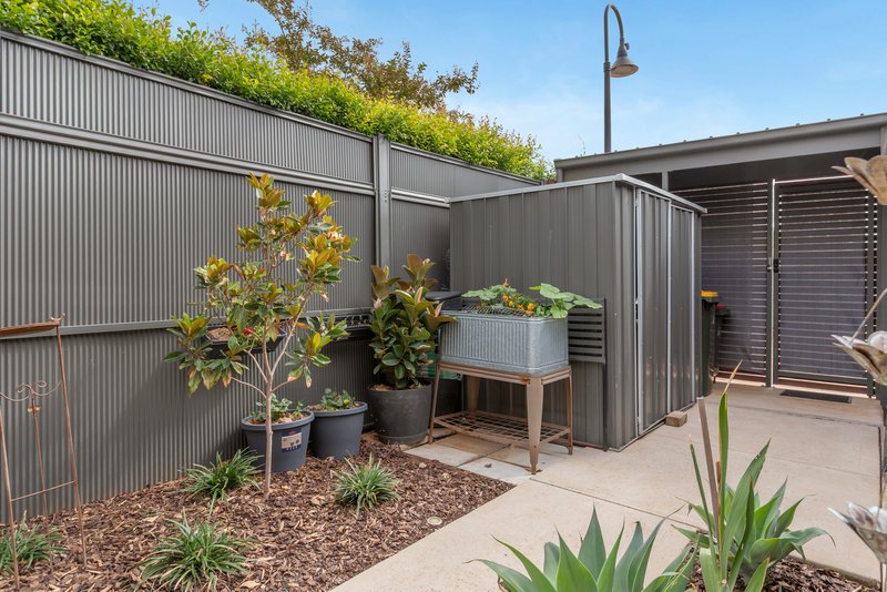 Photo - 31 Finnis Street, Blakeview SA 5114 - Image 24