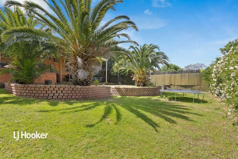 Photo - 31 Finniss Avenue, Ingle Farm SA 5098 - Image 14