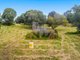 Photo - 31 Flooded Gum Place, Black Mountain QLD 4563 - Image 1