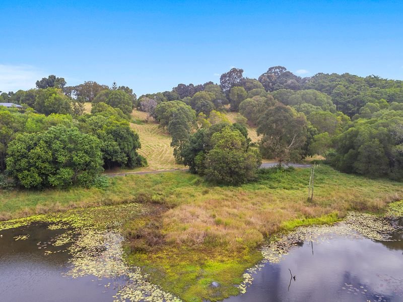 Photo - 31 Flooded Gum Place, Black Mountain QLD 4563 - Image 2