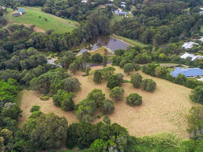 Photo - 31 Flooded Gum Place, Black Mountain QLD 4563 - Image 4