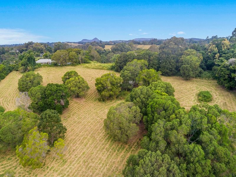 Photo - 31 Flooded Gum Place, Black Mountain QLD 4563 - Image 5