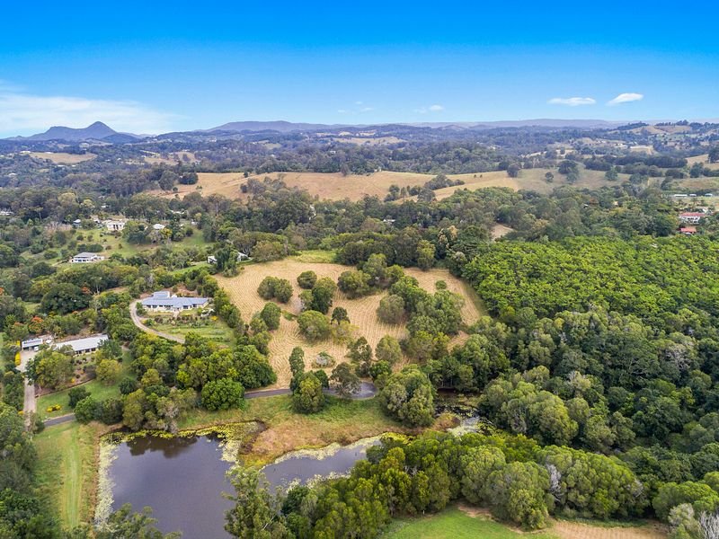 Photo - 31 Flooded Gum Place, Black Mountain QLD 4563 - Image 6