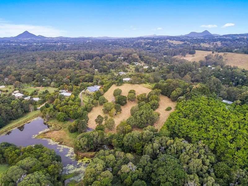 Photo - 31 Flooded Gum Place, Black Mountain QLD 4563 - Image 7