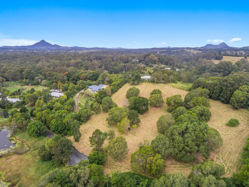 Photo - 31 Flooded Gum Place, Black Mountain QLD 4563 - Image 8