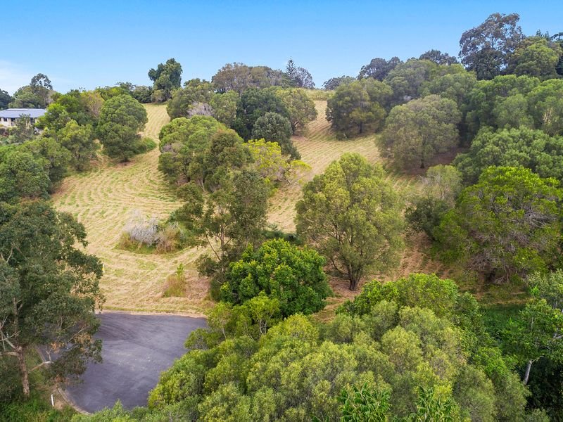 Photo - 31 Flooded Gum Place, Black Mountain QLD 4563 - Image 9