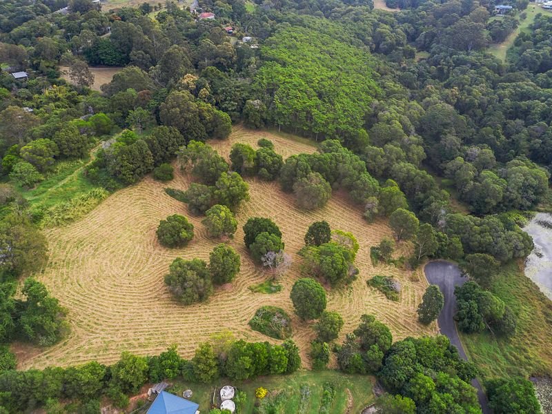 Photo - 31 Flooded Gum Place, Black Mountain QLD 4563 - Image 11