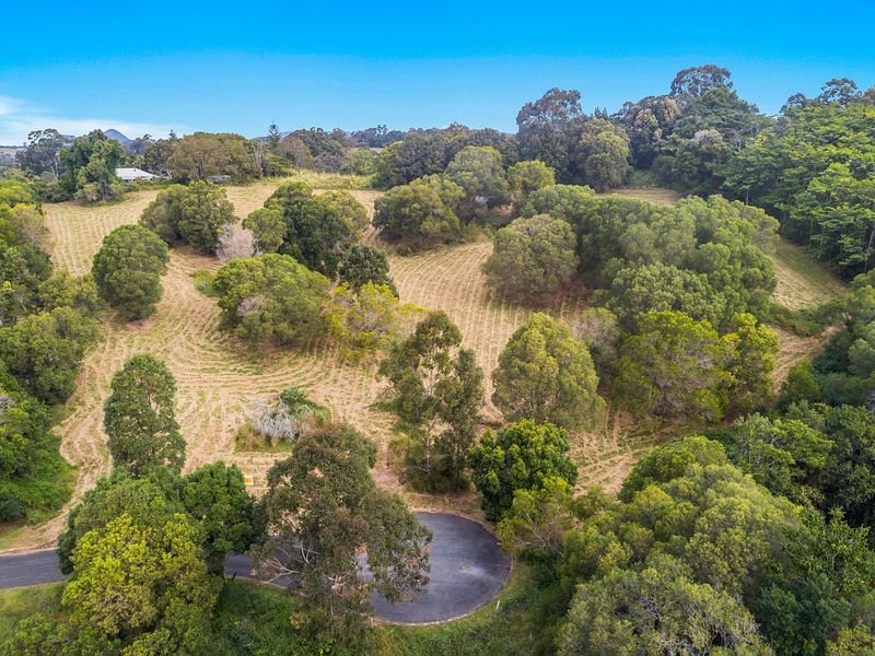 Photo - 31 Flooded Gum Place, Black Mountain QLD 4563 - Image 12