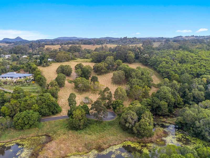 Photo - 31 Flooded Gum Place, Black Mountain QLD 4563 - Image 13