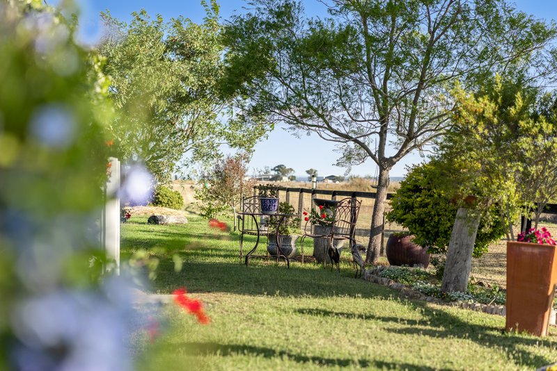Photo - 31 Free Street, Nobby QLD 4360 - Image 17