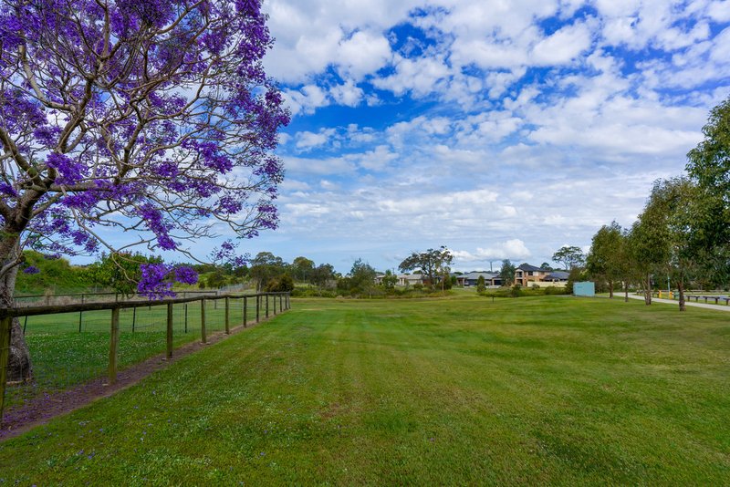 Photo - 31 George Circuit, Bald Hills QLD 4036 - Image 6