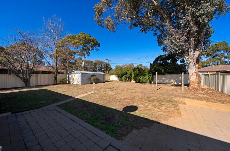 Photo - 31 Glenelg Street, Kaleen ACT 2617 - Image 13