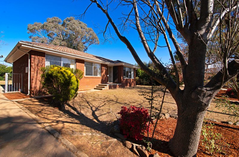 Photo - 31 Glenelg Street, Kaleen ACT 2617 - Image 15